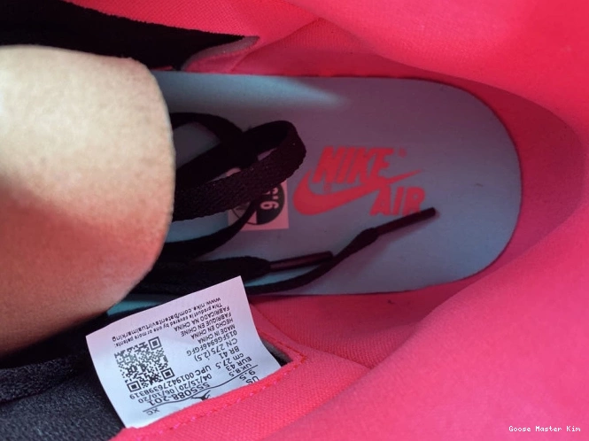 RETRO HACK HIGH AIR TOKYO JORDAN BIO 1 555088-201 0529